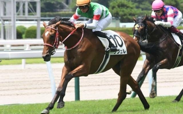 【小倉5R新馬戦結果】ナミュールの妹ラヴェルが出遅れをものともせず快勝