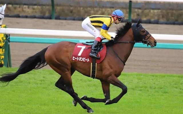 【七夕賞・馬体重】ヒートオンビートは476kg(-2)、アンティシペイトは496kg(-4)