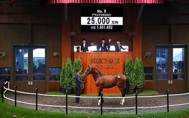 【セレクトセール2022】アウェイクの2021を金子真人氏が2億5000万円で落札 近親にステラヴェローチェなど