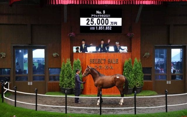 【セレクトセール2022】エピファネイア産駒が2億5000万円