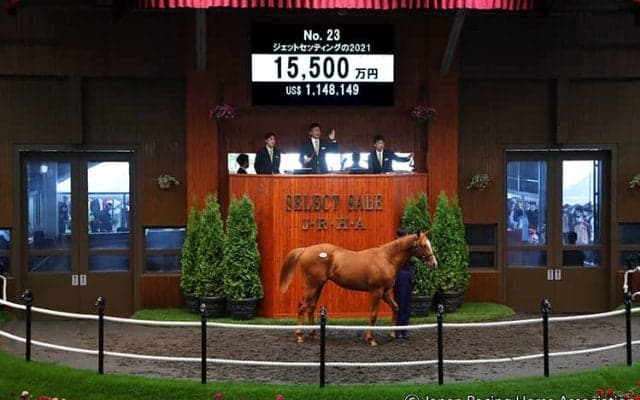 【セレクトセール2022】上場馬唯一のフランケル産駒 ジェットセッティングの2021を1億5500万円で 母は愛G1覇者