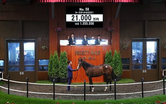 【セレクトセール2022】藤田晋氏がダノンベルーガの妹を2億1000万円で落札