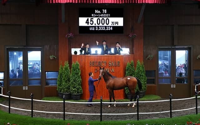 【セレクトセール2022】本日初の4億円超え　ダノックスがプリモシーンの弟を4億5000万円で購入