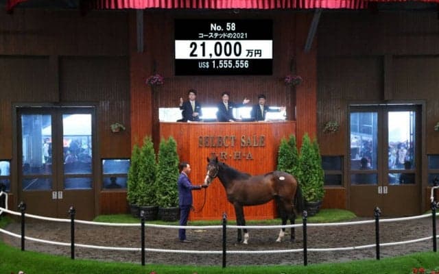 【セレクトセール2022】ダノンベルーガ半妹が2億1000万円