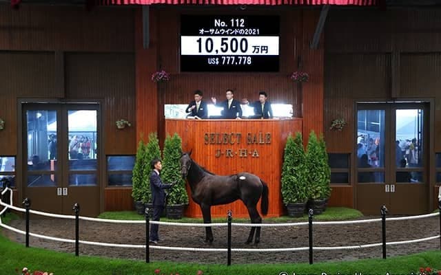 【セレクトセール2022】オーサムウインドの2021は1億500万円　金子真人ホールディングスが購入