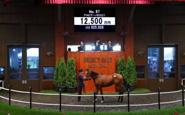 【セレクトセール2022】キズナ産駒が1億2500万円で落札