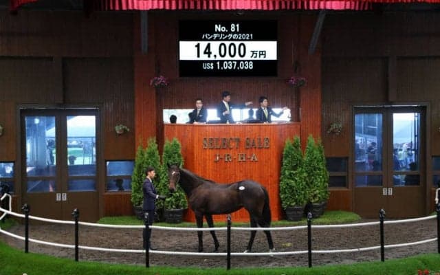 【セレクトセール2022】エピファネイア産駒が1億4000万円で落札