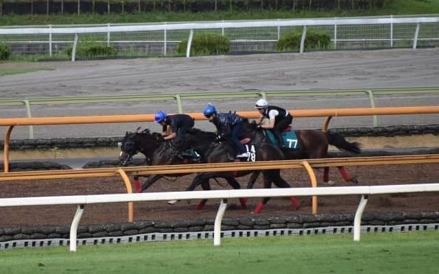 軽快な動きをみせるマテンロウプラウド/関西馬メイクデビュー情報
