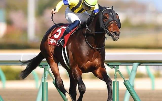 【AI予想・函館記念】参加賞じゃ物足りない!? 敗戦続き「あの重賞常連馬」に絶好のチャンス