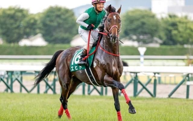 相性のいい父×母父の配合　重厚な欧州血統が好走へと結びついた