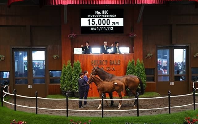 【セレクトセール2022】ドゥラメンテ最終世代が1億円超え！ 亜2歳女王ポジティブマインドの仔が1億5000万円で落札