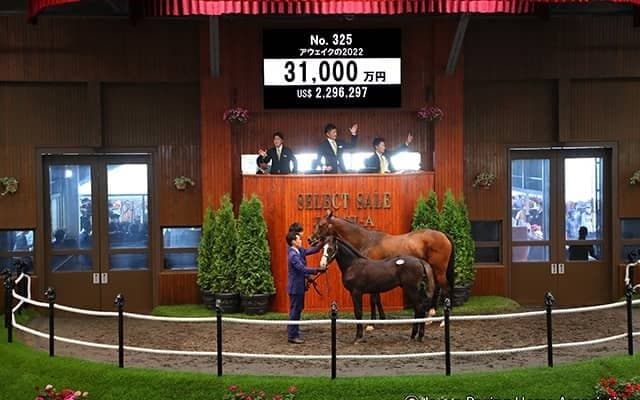 【セレクトセール2022】本日初の3億円超え！ 「ショウナン」国本哲秀氏がブリックスアンドモルタル産駒を3億1000万円で落札