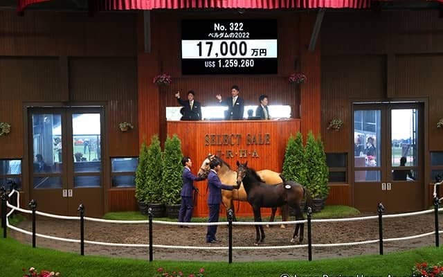【セレクトセール2022】七冠馬ジェンティルドンナの甥を「サトノ」里見治氏が1億7000万円で落札