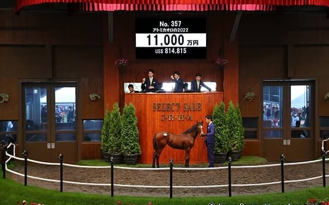 【セレクトセール2022】 藤田晋氏が1億1000万円でドゥラメンテ最終世代の牝駒を落札　母はアルゼンチンG1馬アトミカオロ