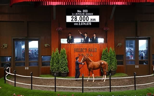 【セレクトセール2022】3億円馬ダノンザタイガーの半妹が2億8000万円で落札 本日4度目の2億円超え