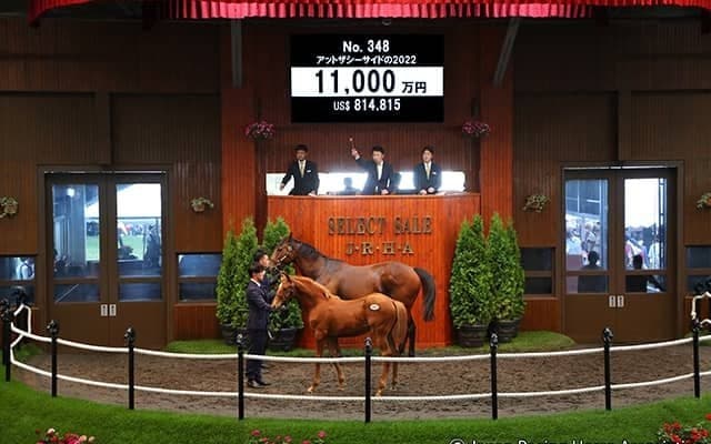 【セレクトセール2022】藤田晋氏が1億1000万円で桜花賞3着馬アットザシーサイドの2022を落札
