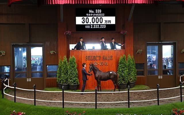 【セレクトセール2022】ステルヴィオの弟が3億円超え！ サートゥルナーリアの初年度産駒を金子真人氏が落札