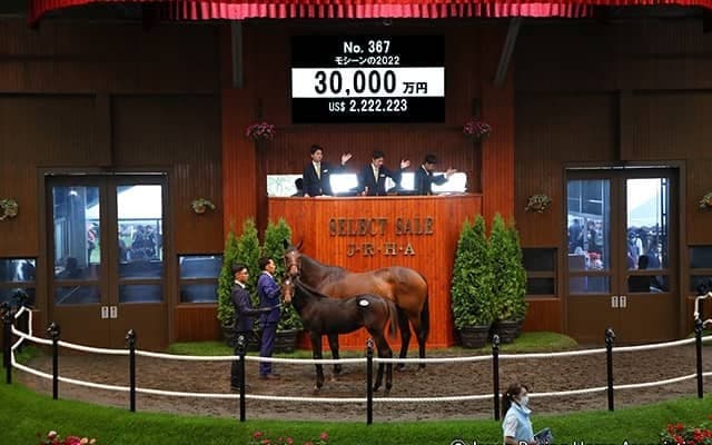 【セレクトセール2022】本日3頭目の3億円超え！ 豪の名牝モシーンの仔が昨日に引き続き本日も高値で落札