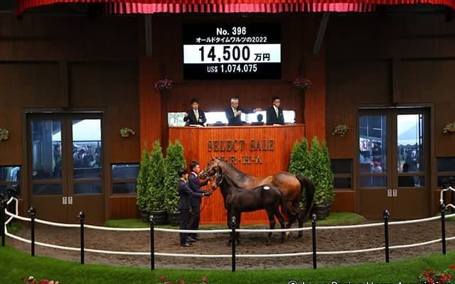 【セレクトセール2022】オールドタイムワルツの2022が1億4500万円 「エコロ」原村正紀氏が落札