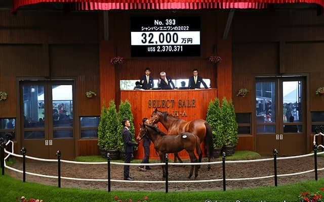 【セレクトセール2022】ドゥラメンテ最終世代が3億円超え シャンパンエニワンの2022が3億2000万円で落札