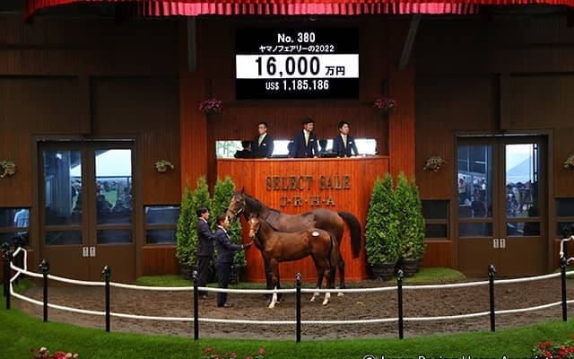 【セレクトセール2022】ヤマノフェアリーの2022が1億6000万円で落札 近親にトゥザヴィクトリーやデニムアンドルビーなど重賞馬多数