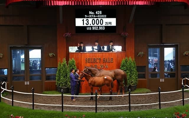 【セレクトセール2022】藤田晋氏が1億3000万円でラーゴブルーの2022を購入　同牝系には重賞馬多数