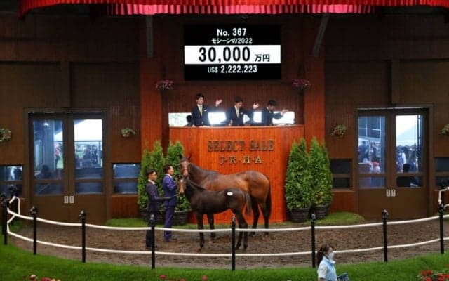【セレクトセール2022】モシーンの2022が3億円で落札