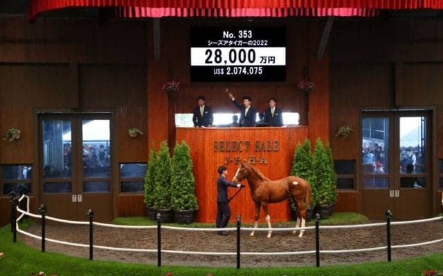 【セレクトセール2022】当歳エピファネイア産駒2億8000万円で落札