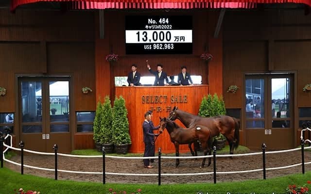 【セレクトセール2022】藤田晋氏が本日8頭目の1億円超え購買　豪の名牝モシーンの孫を1億3000万円で落札