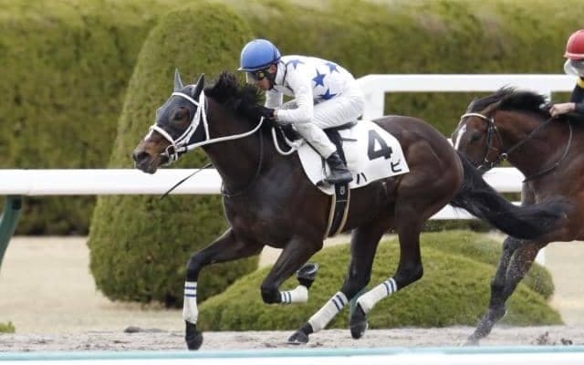 【ジャパンダートダービー】大久保龍志厩舎の2頭に注目！ 砂の若き王者を決める戦い