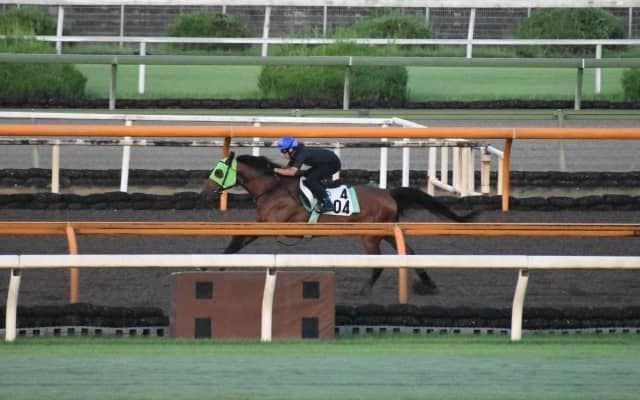 カイザーミノル、中京記念1週前追い切り速報/栗東トレセンニュース