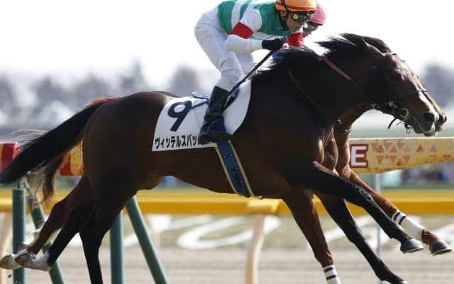 【先週のJRA抹消馬】末脚自慢のヴィッテルスバッハやナンヨーアミーコ、中山大障害出走のビッグスモーキーなど