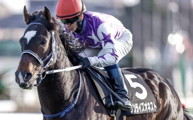 【次走】サンライズオネストはセントウルSへ 今年の阪急杯で3着＆高松宮記念にも出走