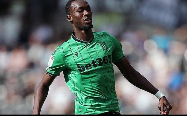 ブライトン、大型WGシマをアンジェへレンタル！