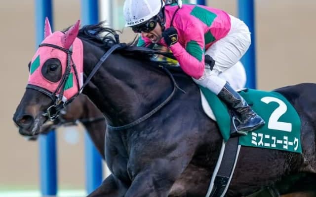 【中京記念想定】ターコイズS覇者ミスニューヨーク、京成杯AH覇者カテドラル、10歳馬ベステンダンクなど