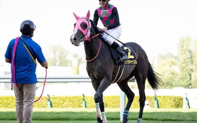 【次走】ダンツキャッスルはエルムSへ 前走マリーンSは上がり最速