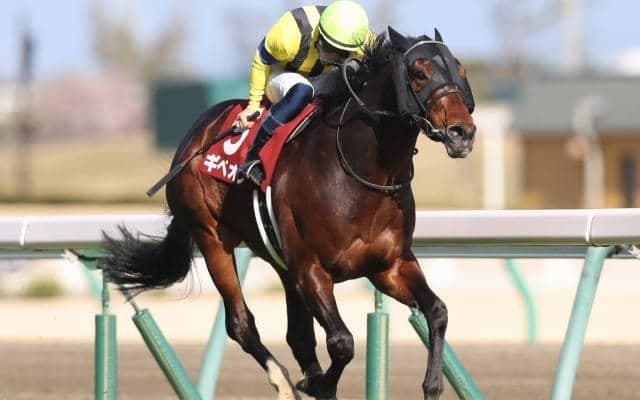 【函館記念予想】波乱の決着を警戒！AIエスケープが指名した一頭とは？