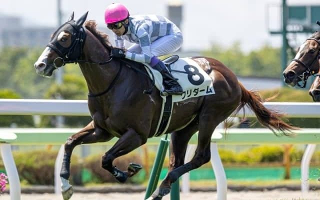 【函館2歳S出走馬・騎手確定】クリダーム＆武豊騎手、スプレモフレイバー＆吉田隼人騎手など13頭