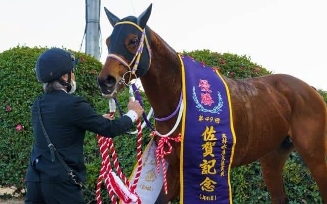 【盛岡・マーキュリーC出走予定馬】JRAケイアイパープル、川崎ノーヴァレンダら