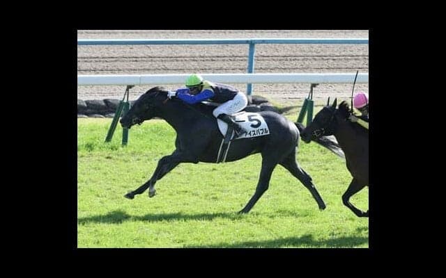 波乱が多い函館記念で狙い目の２頭。近走はイマイチも血統的に激走が期待できる