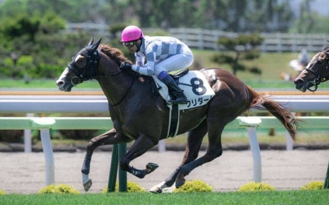 【武豊日記】ジャパンダートダービーと、週末はＪＲＡ重賞で盛り上がります