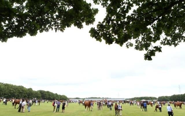 「究極に近い数字」でも発展途上にあるセレクトセール