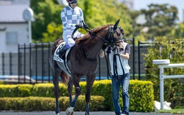 【函館2歳S枠順確定】クリダームは3枠3番、スプレモフレイバーは4枠5番