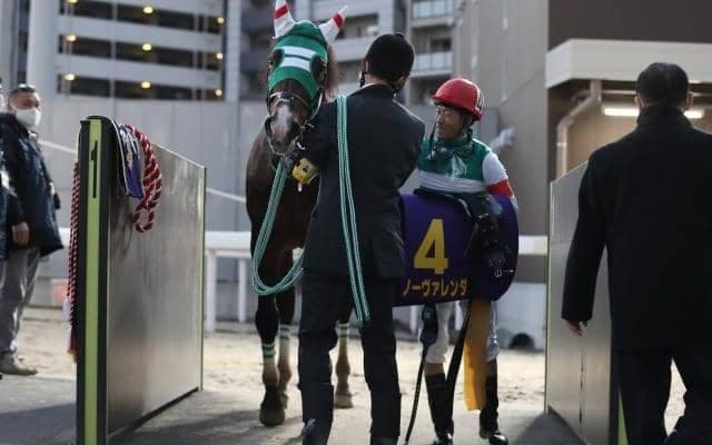 【盛岡・マーキュリーC枠順確定】ケイアイパープルは6枠9番、ノーヴァレンダは3枠4番