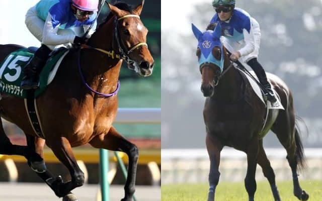 馬名の由来は剣術「燕返し」 豪G1覇者アドマイヤラクティの弟・ジュンツバメガエシが札幌でデビュー予定