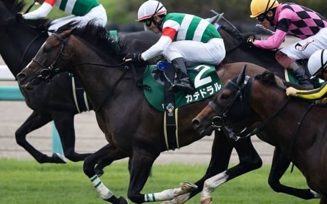 【中京記念想定】重賞2勝目狙うカテドラル、混合重賞制覇目指すミスニューヨーク、前走2年ぶり復帰のコルテジアなど