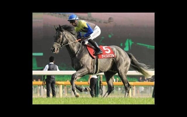 函館記念はふた桁人気馬でも侮れない「荒れる一戦」。穴党記者はハンデ魅力の３頭に注目