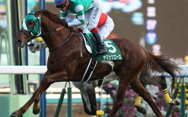 【JRA】ヤマカツエース産駒が初勝利 小倉6RでタガノタントがV