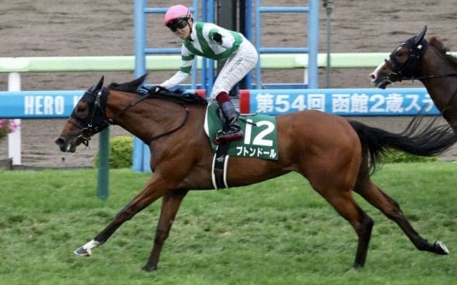 【函館2歳S】2歳最初の重賞ウィナーはブトンドール