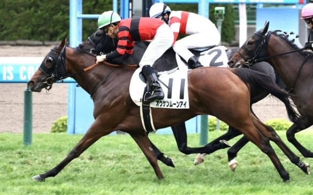 【函館5R】オウケンブルースリ産駒 オウケンムーンアイが初勝利